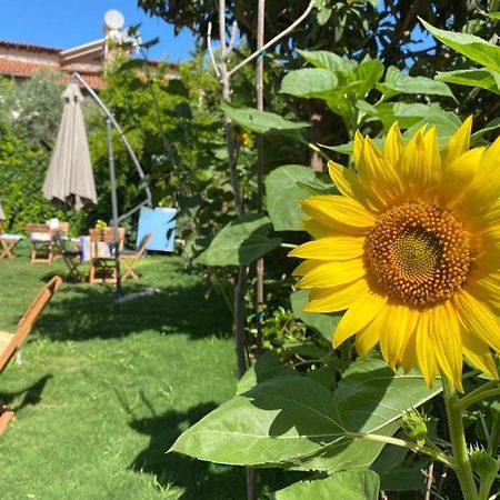 Lemon-Ada Butik Otel Kusadası Eksteriør bilde
