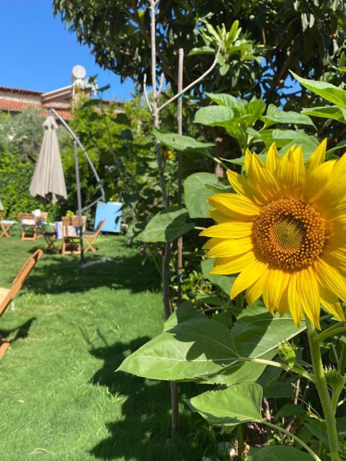 Lemon-Ada Butik Otel Kusadası Eksteriør bilde